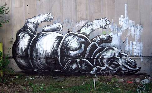  roa rhinoceros belgium