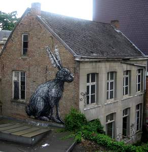  roa rabbit belgium