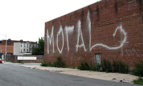  motal nyc