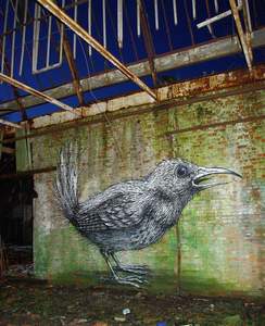  roa bird gent belgium