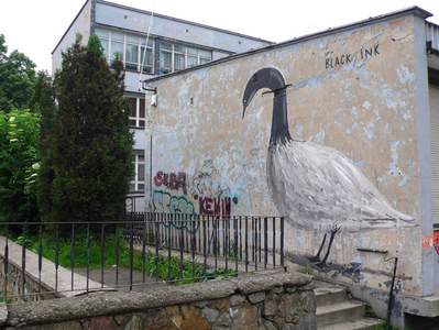  escif bird wroclaw poland