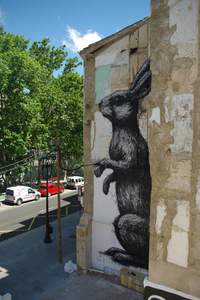  roa rabbit zaragoza spain