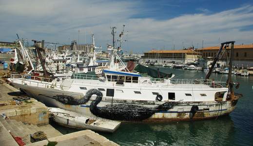  roa boat bird ancona italy mv1010