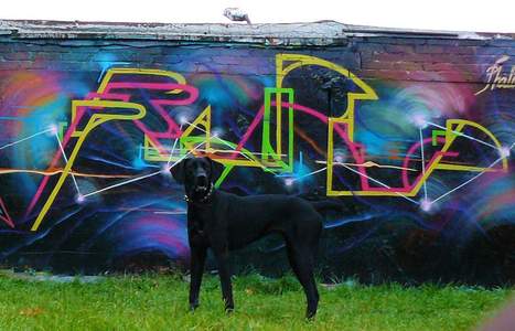  lovis phalo-crew dog russia