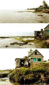  stinkfish portrait san-andres colombia south-america