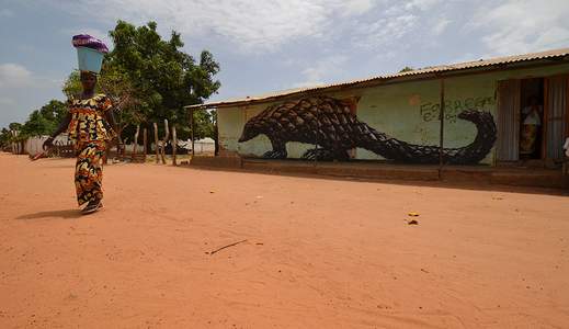  roa gambia africa