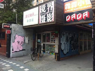 pink cat china asia shangai dezio