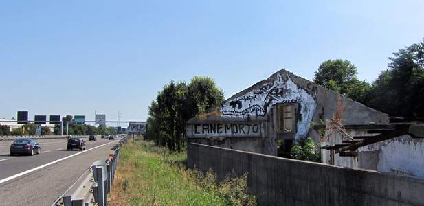 italy milano canemorto