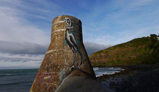 bird newzealand phlegm