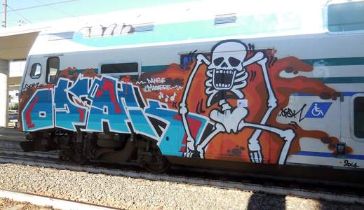 skeleton train-italy opak sdk