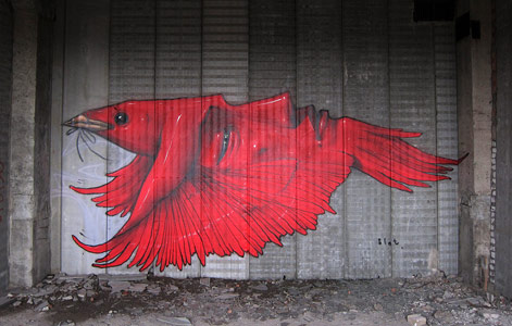 bird red russia blot saint-petersburg