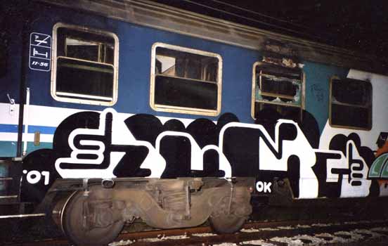  zuek train-italy