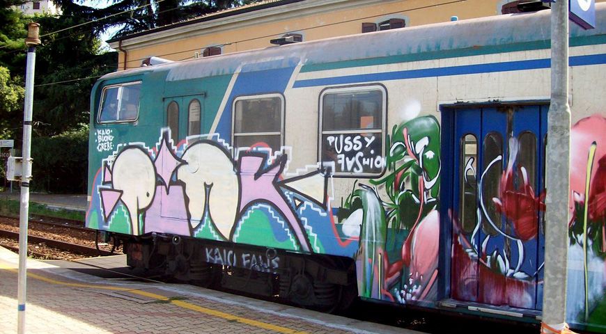  pink kaio grebe train italy