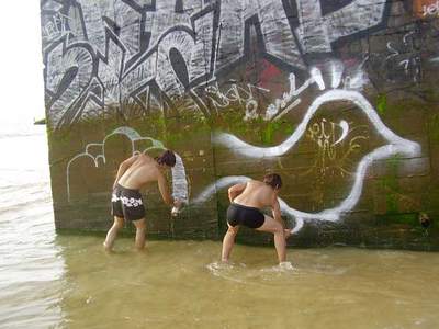  dal calbar process blockhaus bird water france