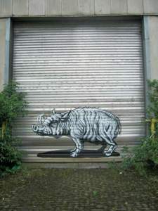  roa gent boar belgium