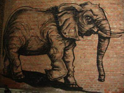  roa elephant belgium