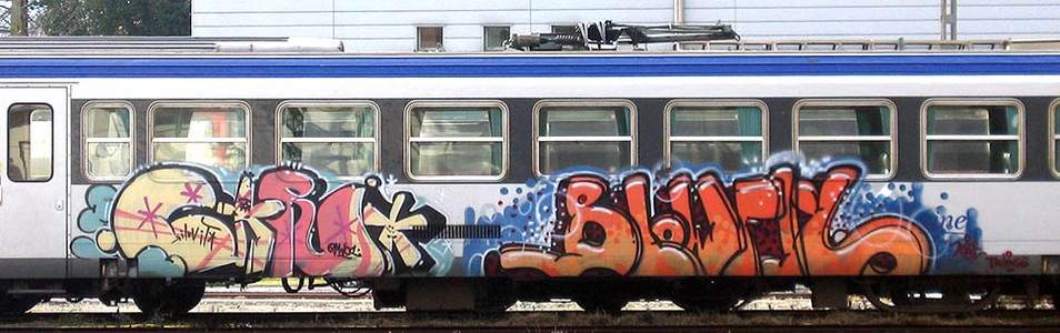  blowfly train pau