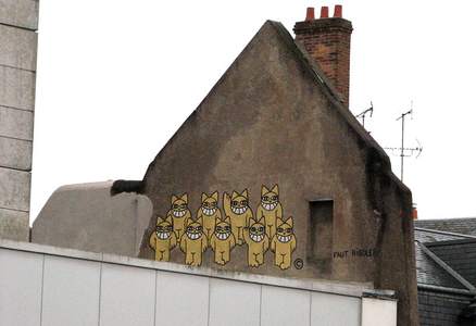  mrchat orleans rooftop cat france