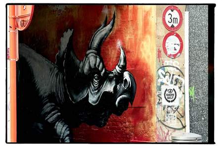  roa rhinoceros belgium