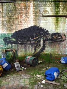  roa belgium