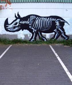  roa rhinoceros belgium