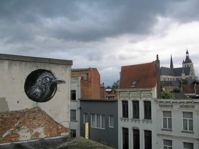  roa bird belgium