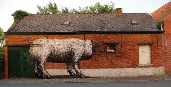  roa pig doel belgium