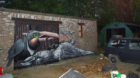  roa dulk bird doel belgium