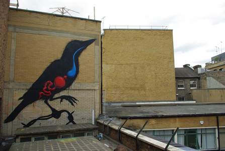  roa rooftop bird london ukingdom