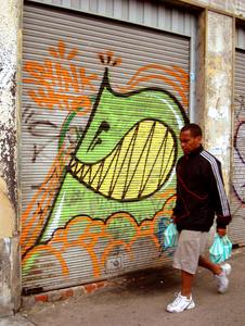  stinkfish shutters bogota colombia south-america