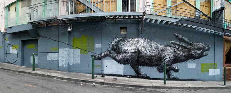  roa rabbit sanfrancisco california