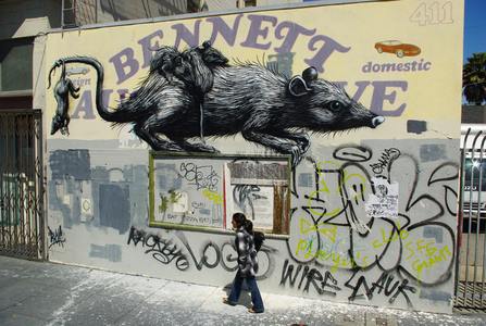  roa sanfrancisco rat california