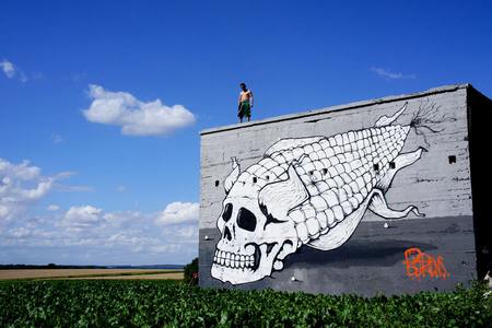  michael-beerens food skull france summer12