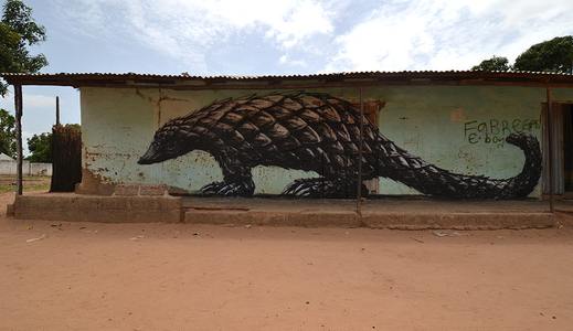  roa gambia africa