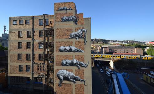  roa johannesburg south-africa africa