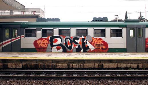  rose train-italy