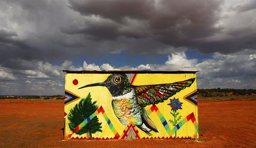  doodles bird arizona usa north-america