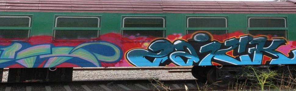  gato zaick train barcelona