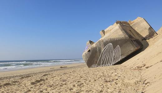 france blockhaus whale thto