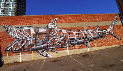 usa sandiego shark phlegm