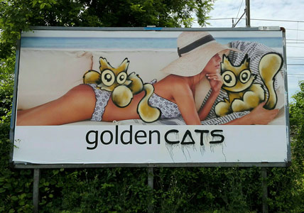 billboard italy cat sqon