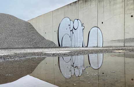 toulouse france silver fish-twp
